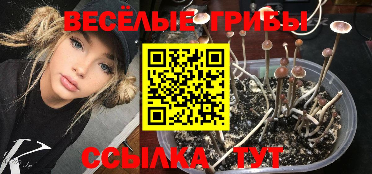 Cocaine  МЕТ  Усть-Илимск  Бошки Шишки  ГАШ  ГАШ  Каннабис  Меф кристаллы  Вход с VPN  МДМА 