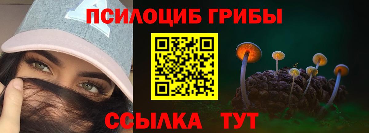 Псилоцибиновые грибы MAGIC MUSHROOMS Усть-Илимск